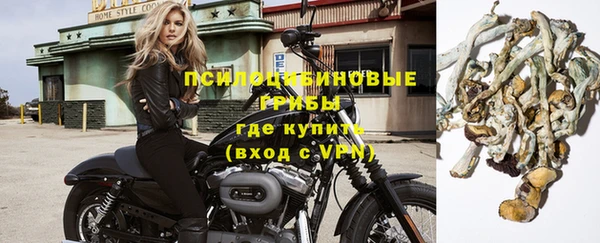 крисы Армянск