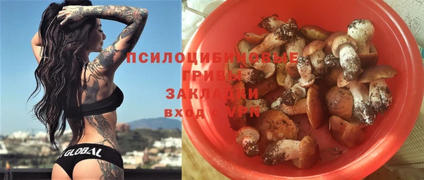 крисы Арсеньев