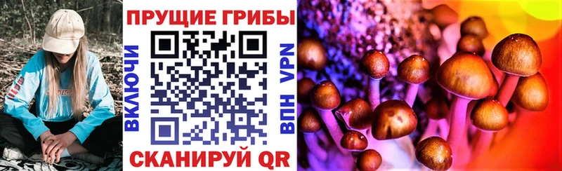 Галлюциногенные грибы мицелий  Маркс 